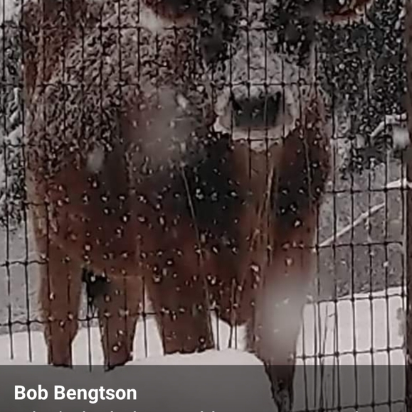 Meet your Ambassador Posher, Gale - Picture 8 of 13